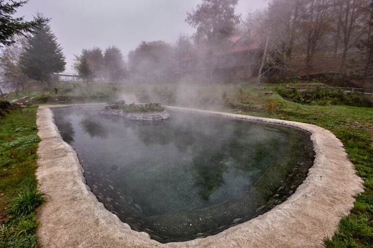 5 Mejores Termas En Valdivia Viajero Casual