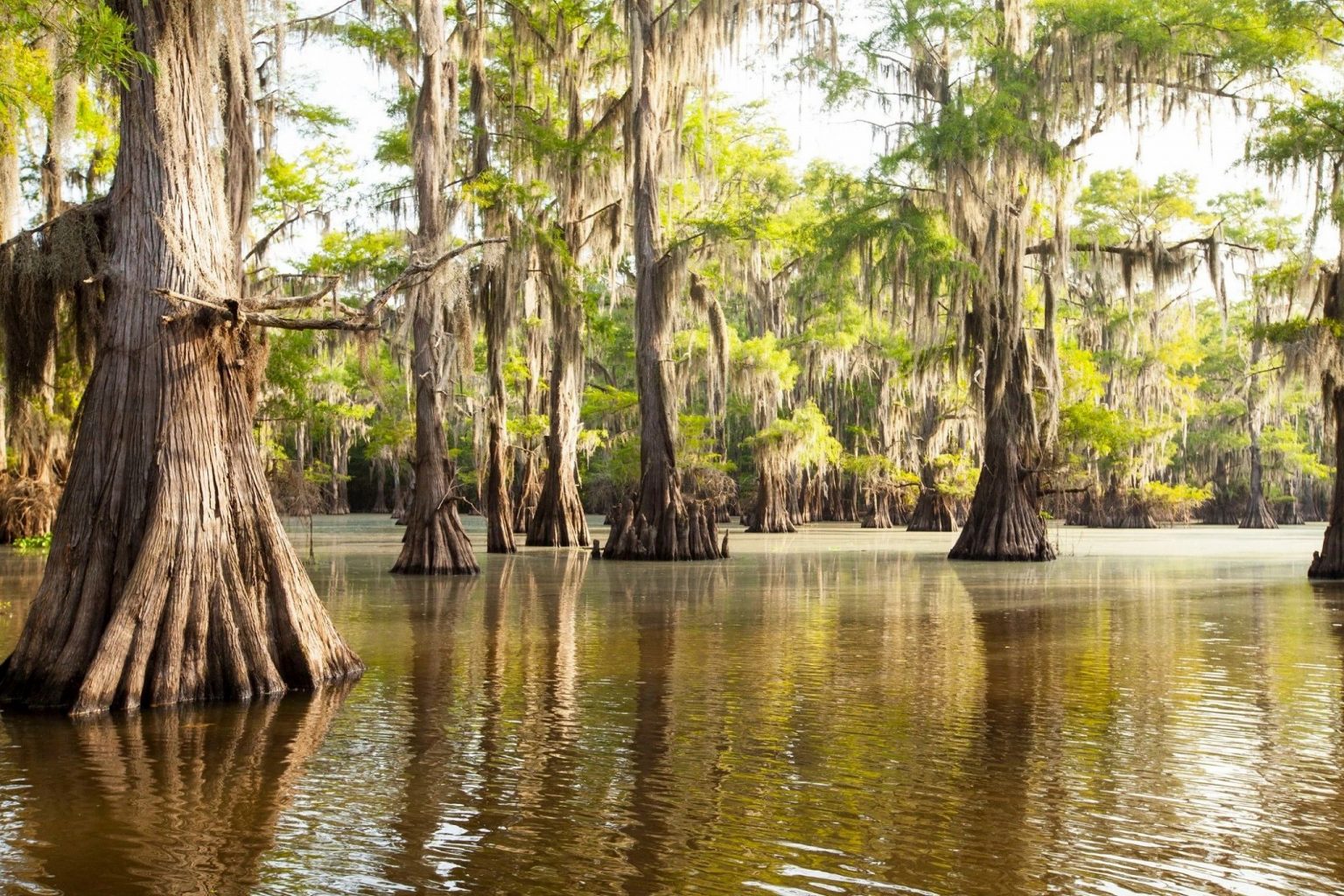 Los Lagos De Estados Unidos M S Bonitos Viajero Casual