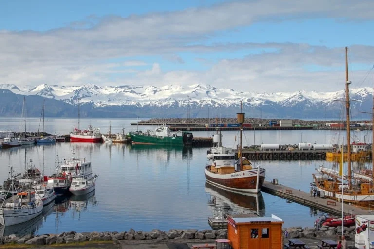 35 lugares que ver en Islandia 15
