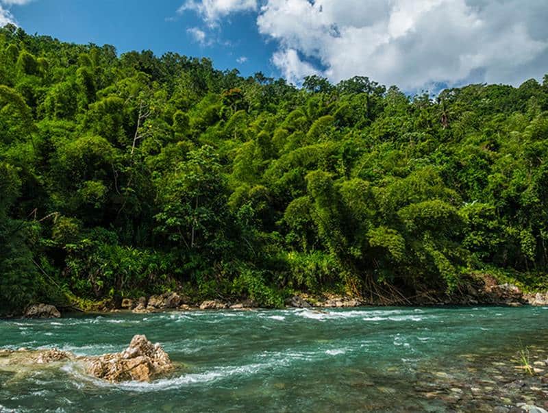 20 lugares que ver en Jamaica 15