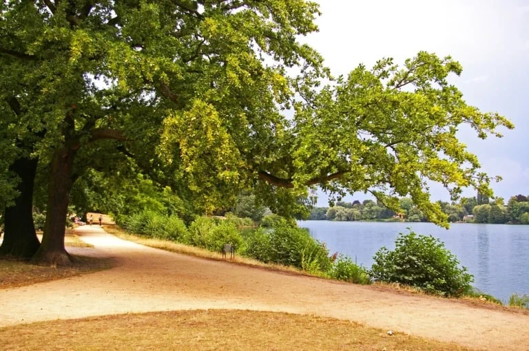 40 lugares que ver en Potsdam 29 40 lugares que ver en Potsdam 29
