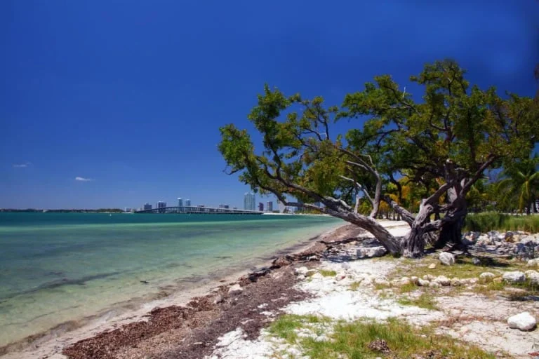 17 mejores playas de Miami 13