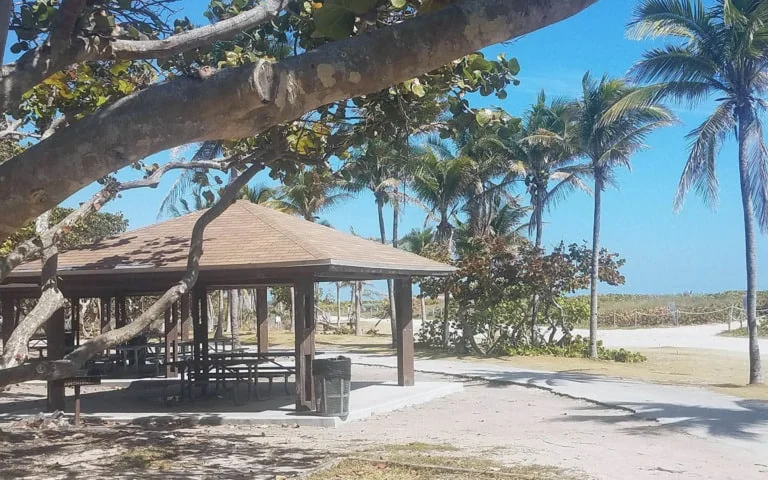 17 mejores playas de Miami 15
