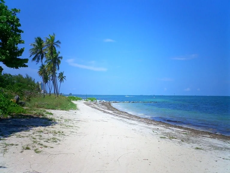 17 mejores playas de Miami 7