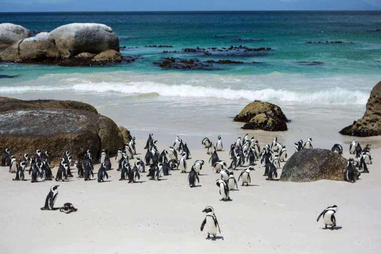 15 mejores playas de Sudáfrica 12