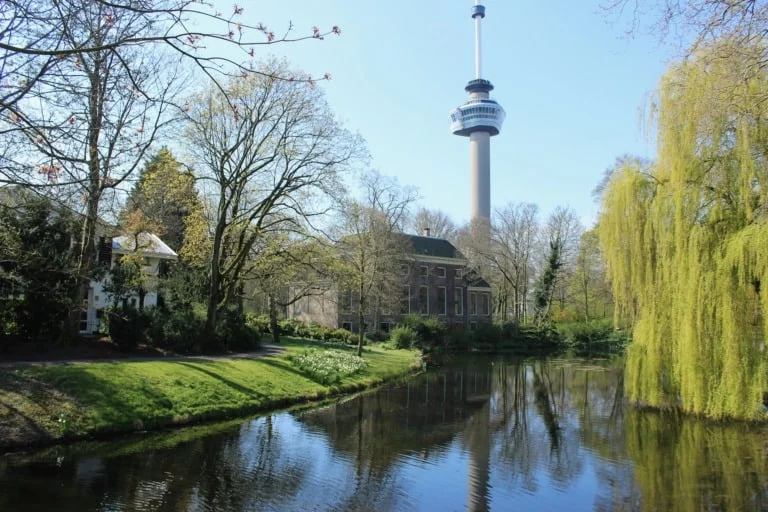 25 lugares que ver en Rotterdam 2