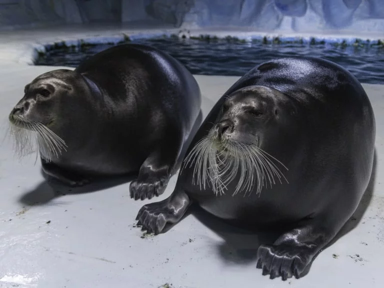 20 lugares que ver en Tromso 7 20 lugares que ver en Tromso 7