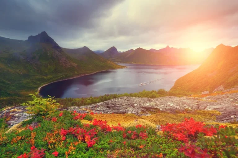 20 lugares que ver en Tromso 16 20 lugares que ver en Tromso 16