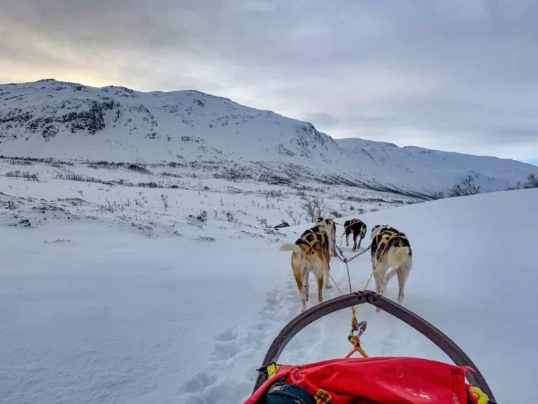 20 lugares que ver en Tromso 2 20 lugares que ver en Tromso 2