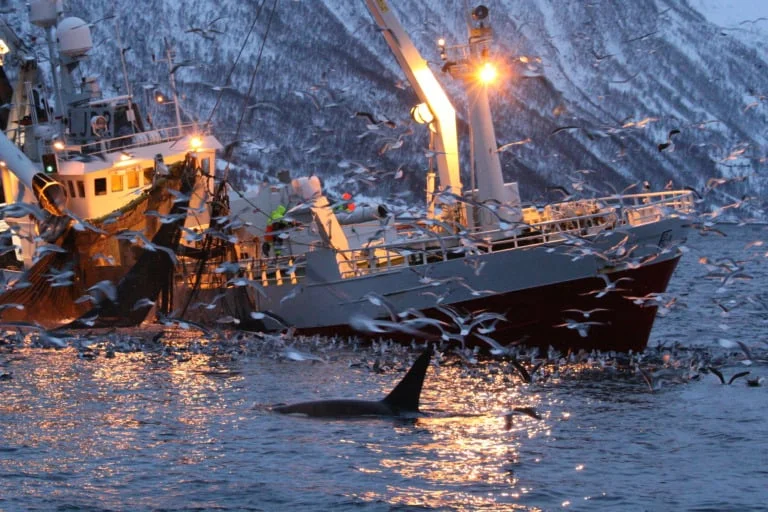 20 lugares que ver en Tromso 20 20 lugares que ver en Tromso 20