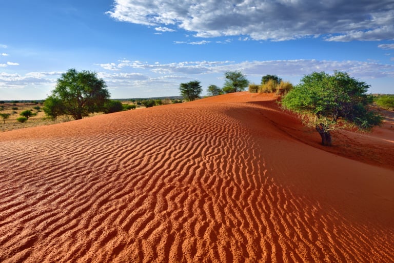 25 desiertos más grandes del mundo 10