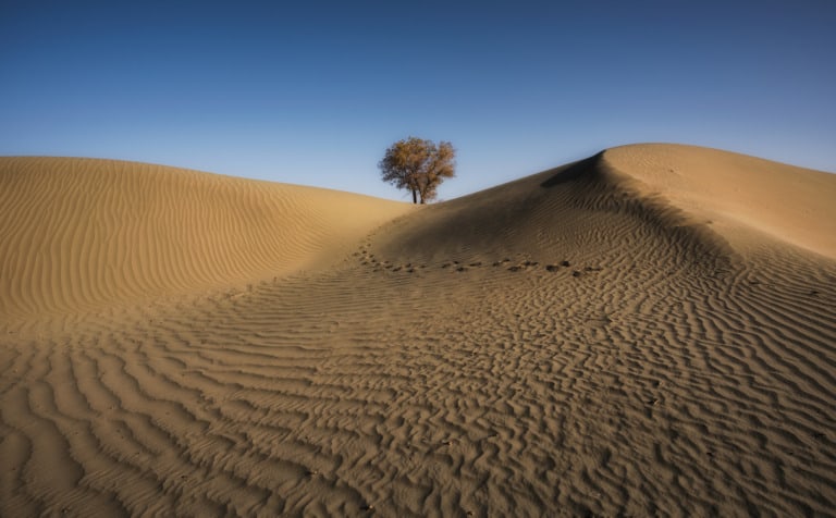 25 desiertos más grandes del mundo 19