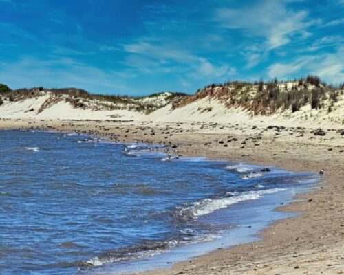 11 mejores playas de Delaware 1