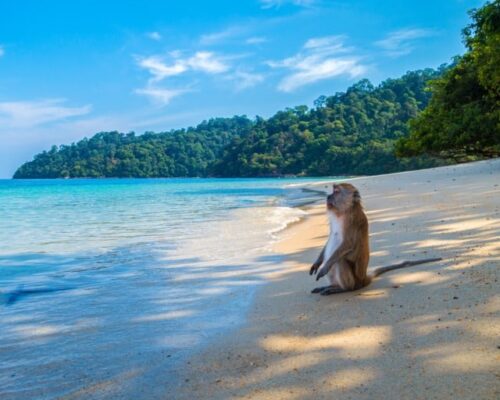 17 mejores playas de Tailandia 54