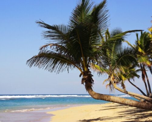 10 mejores playas de Punta Cana 1