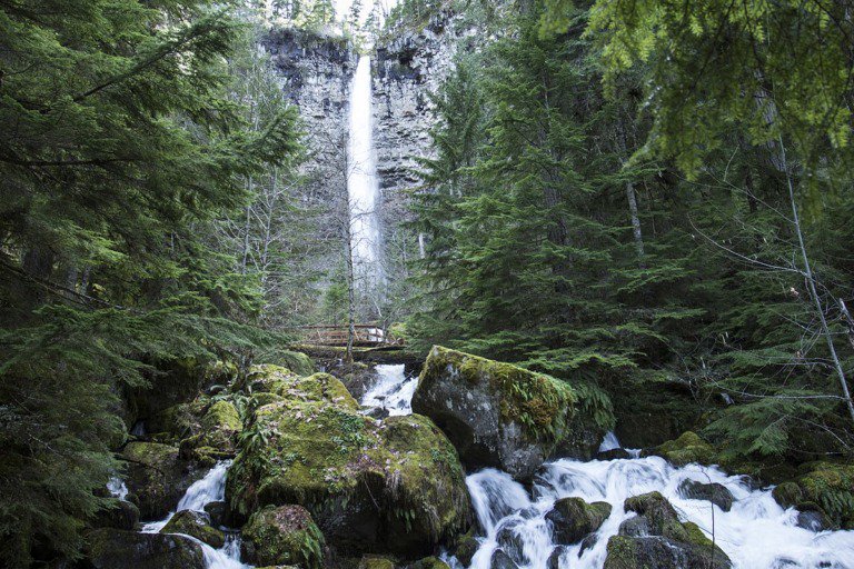 21 mejores cascadas de Oregón 4