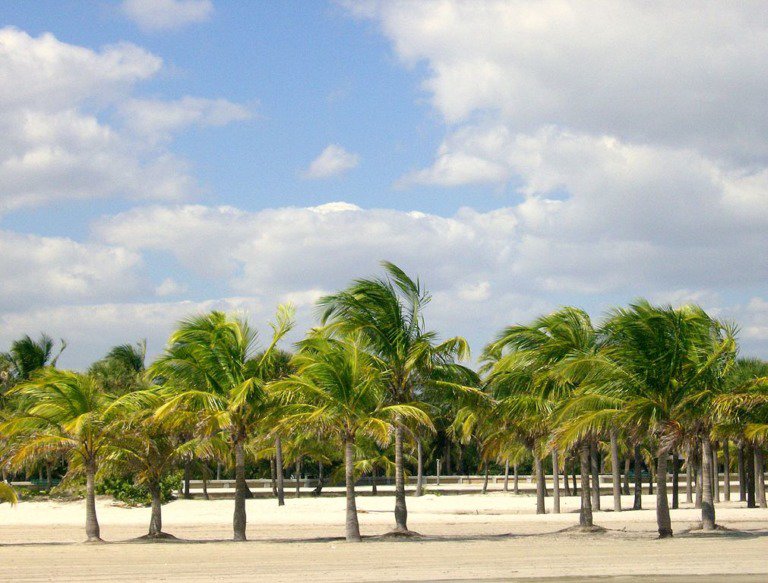 13 mejores parques en Miami 2