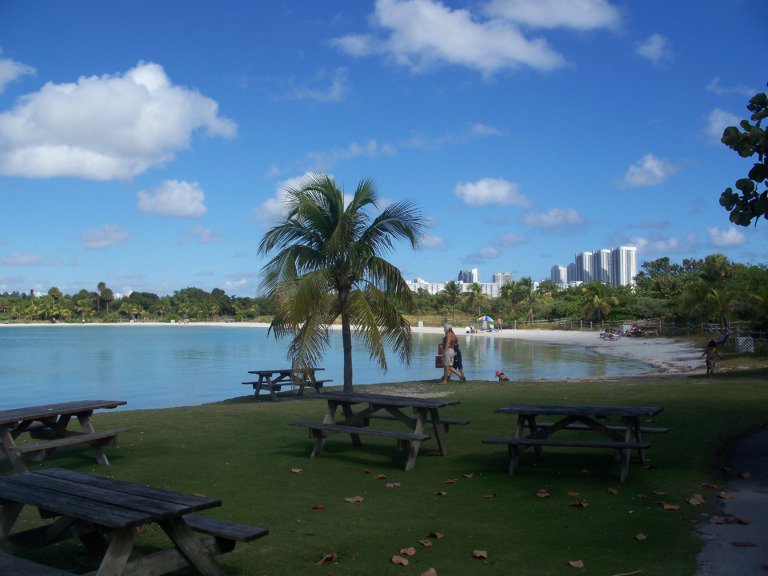 13 mejores parques en Miami 4