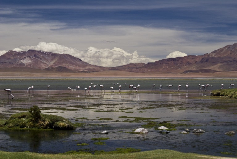10 mejores cosas que hacer en San Pedro de Atacama 7