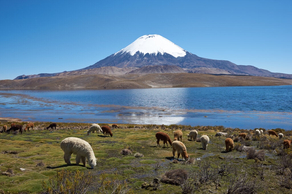 10 lugares turísticos del norte de Chile que debes visitar 4
